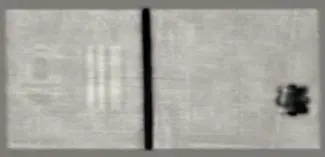 Immagine scannerizzata di una banconota da 50 euro realizzata con sensore DIS a 50 DPI